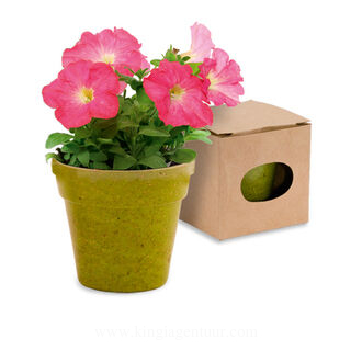 Flowerpot Advert 2. kuva