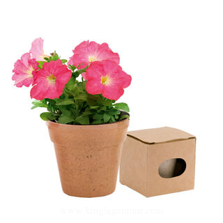Flowerpot Advert 3. picture